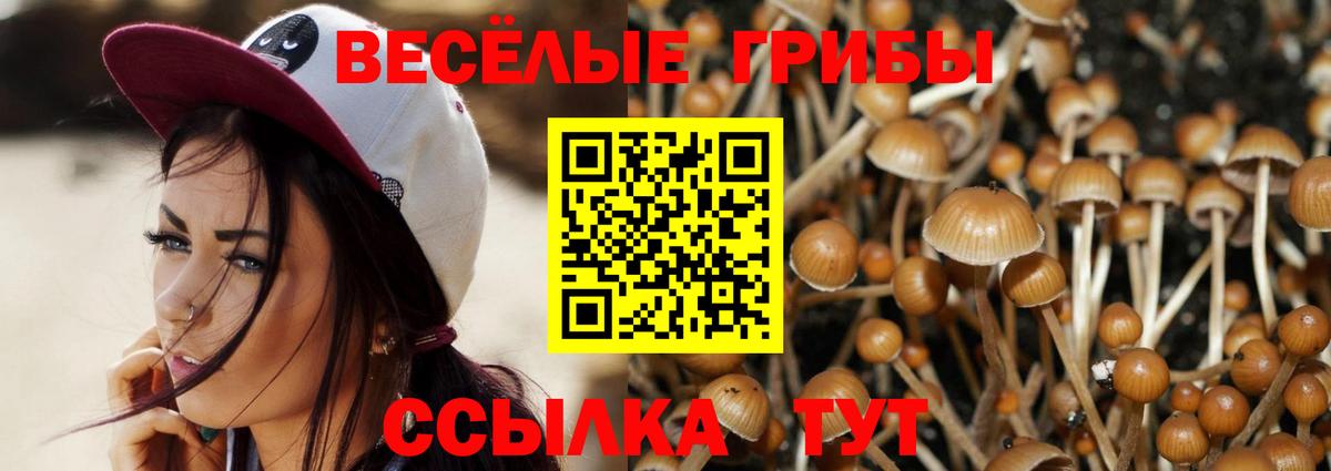 Галлюциногенные грибы GOLDEN TEACHER Киржач
